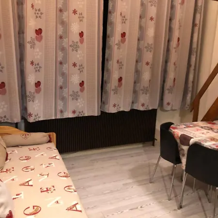 Appartement Belle Hutte 2 La Bresse