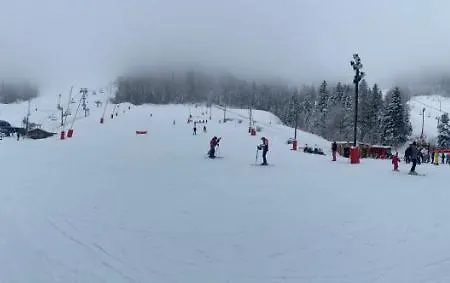 Belle Hutte 2 La Bresse