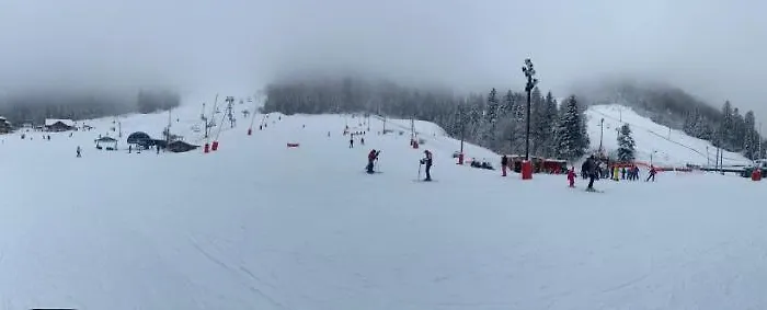 Belle Hutte 2 La Bresse