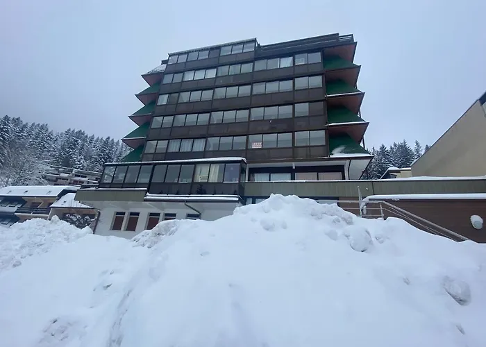 Apartmán Belle Hutte 2 La Bresse